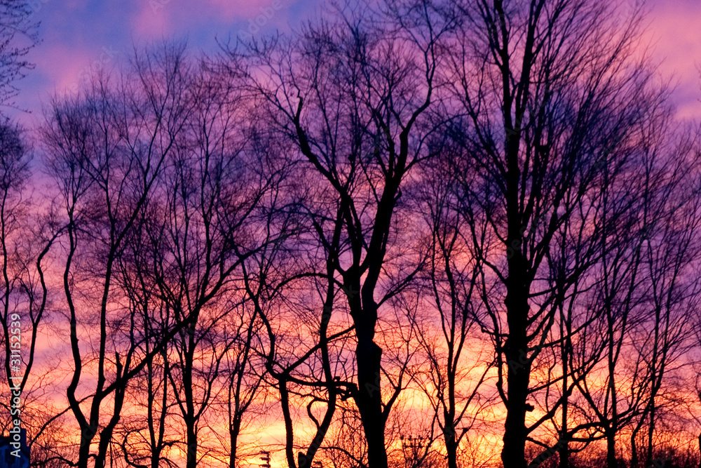 Sunrise