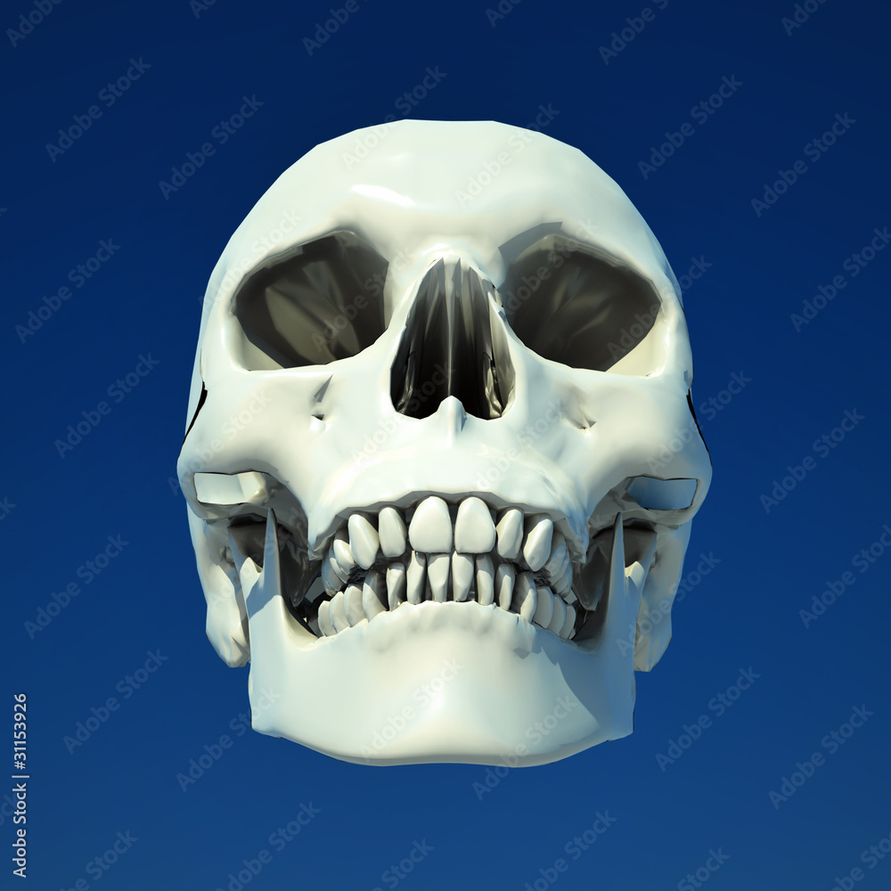 Obraz premium Human skull