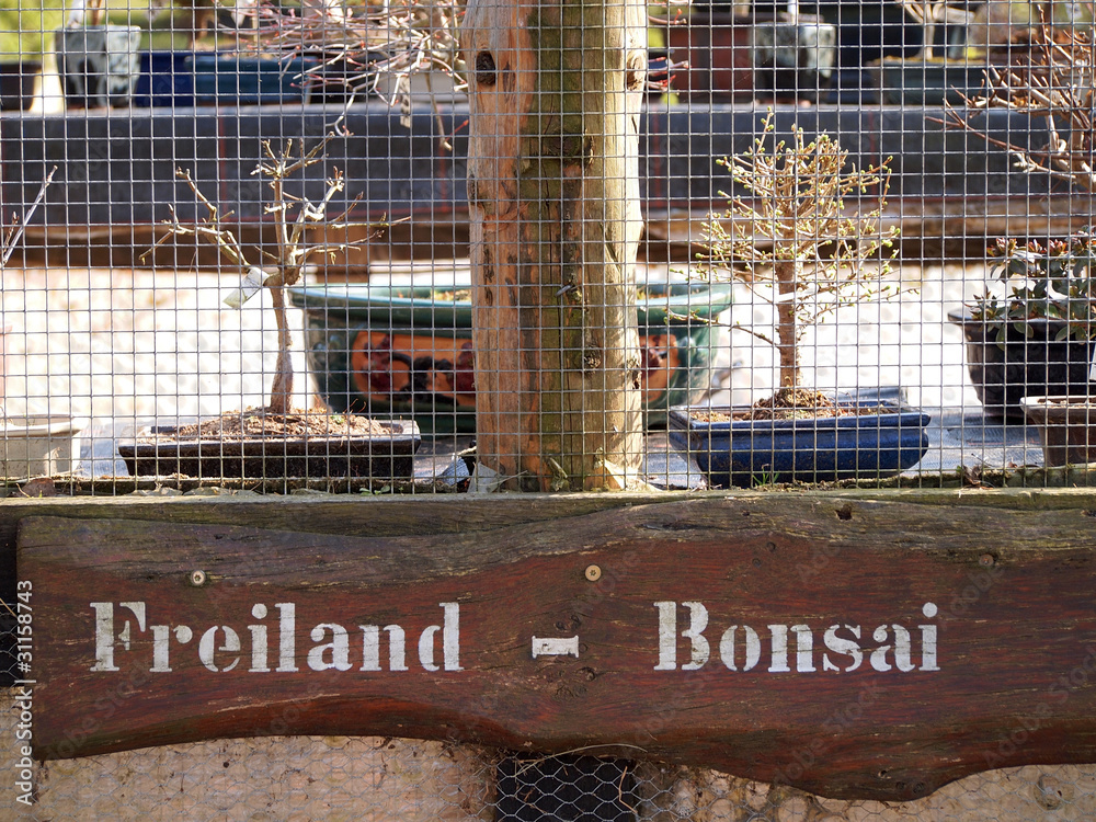 Schild freiland Bonsai