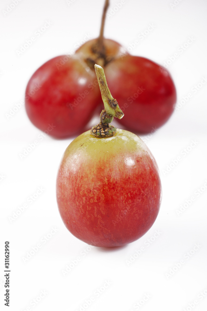 Fototapeta premium red grape on background