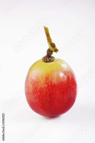 one red grape on white background