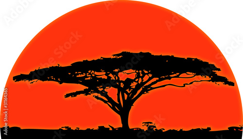 Africa