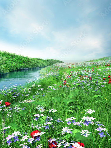 Fototapeta Wiosenna łąka z kwiatami