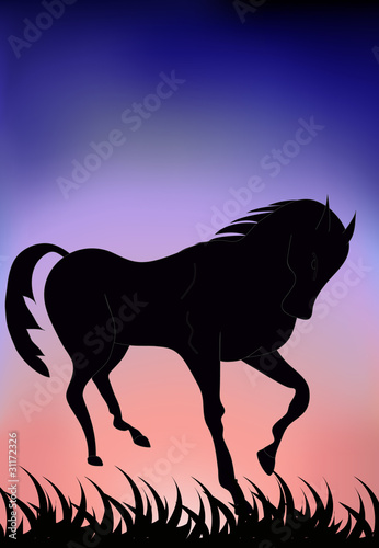 vector illustration of horse running on a grass