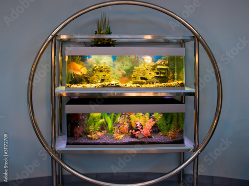 Large aquarium photo