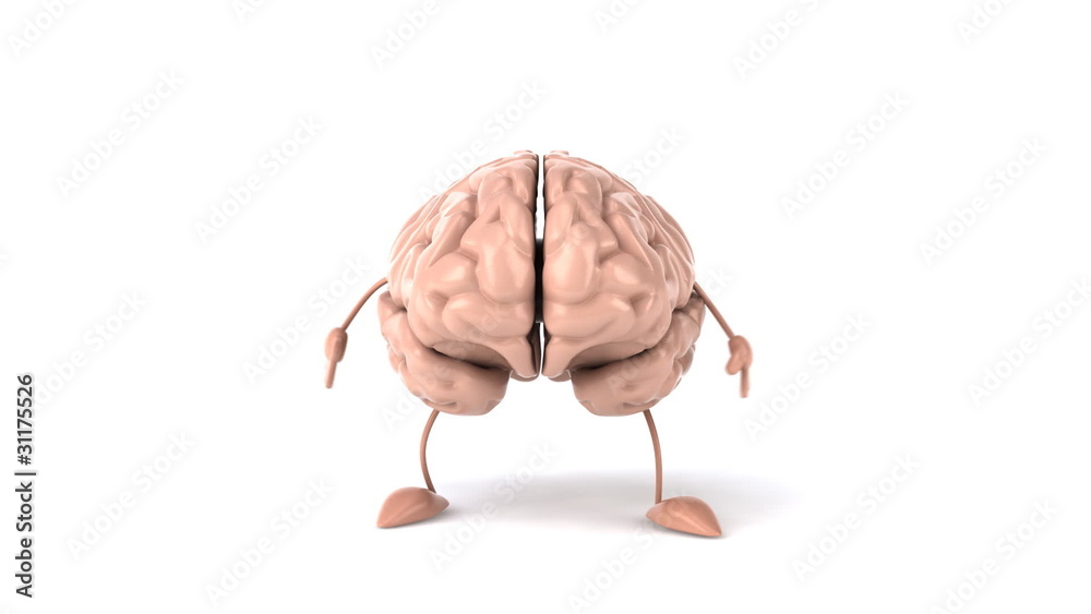 Cerveau