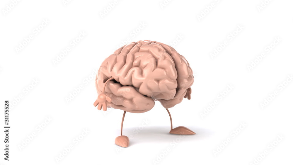 Cerveau