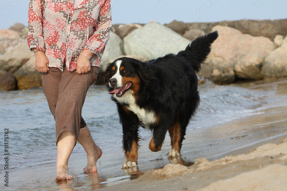 chien et sa maîtresse en bord de mer, à la plage