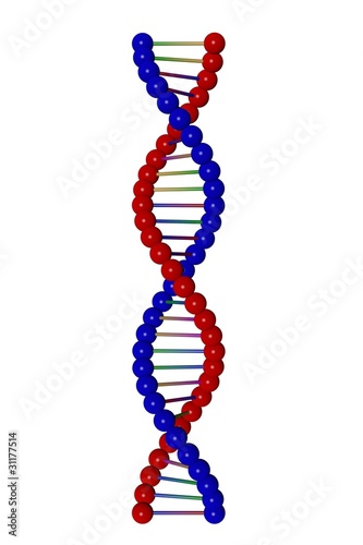 DNA Strang