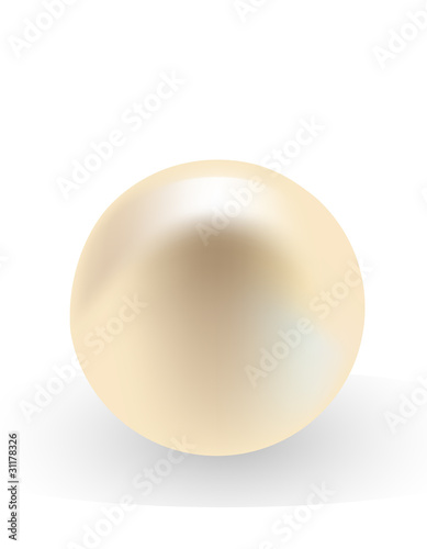 vector template with realistic pearls