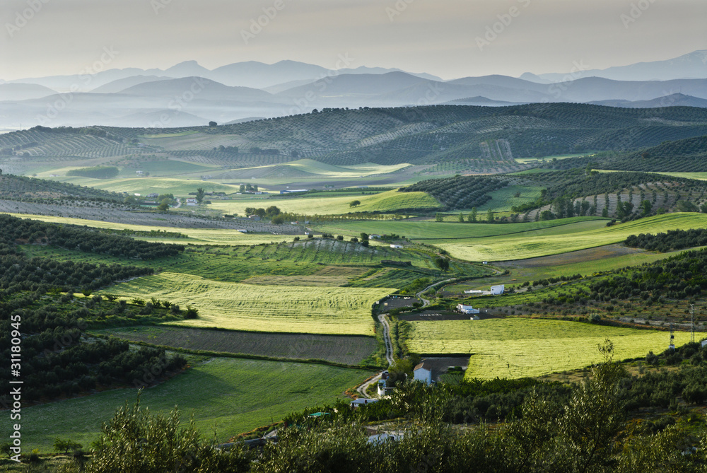 Obraz premium Ameria