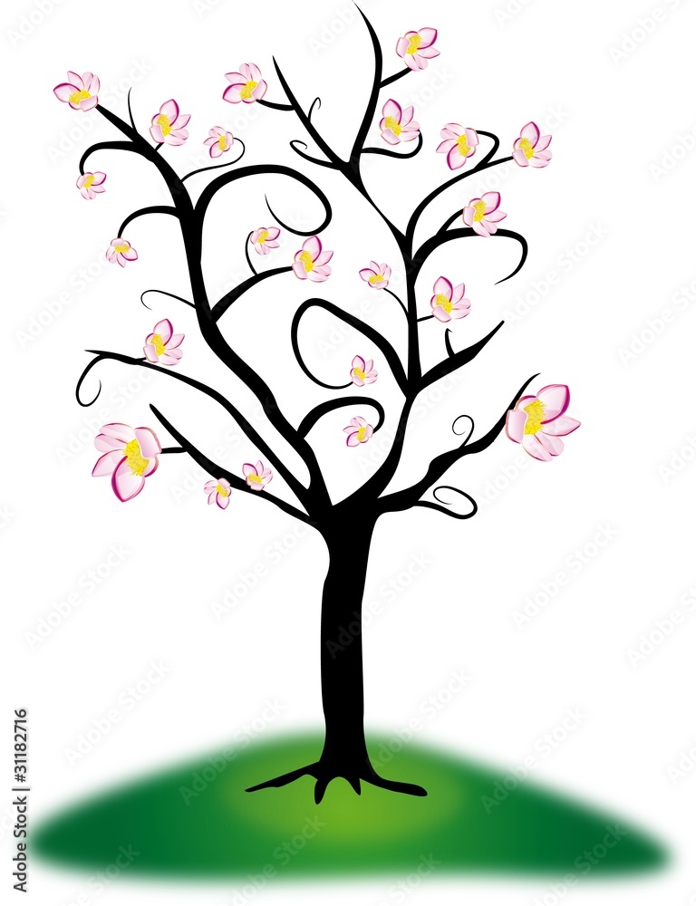 albero primavera