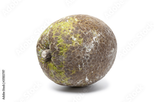 Whole single fresh breadfruit © Picture Partners
