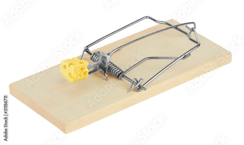 mousetrap with cheese