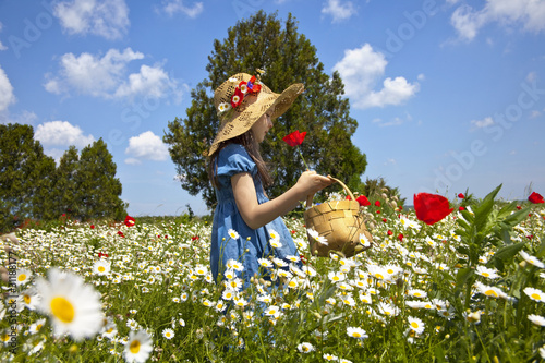 Spring comes