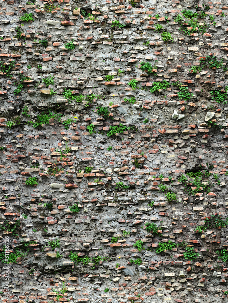 plants on antique roman brick wall seamless plants on antique roman brick wall seamless