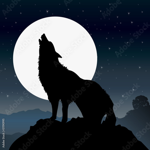 Loup_2