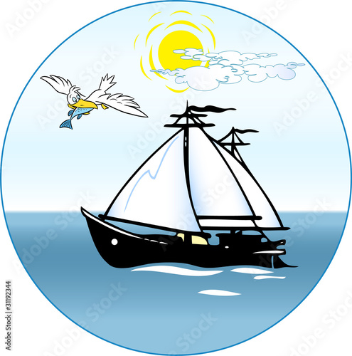 sailfish