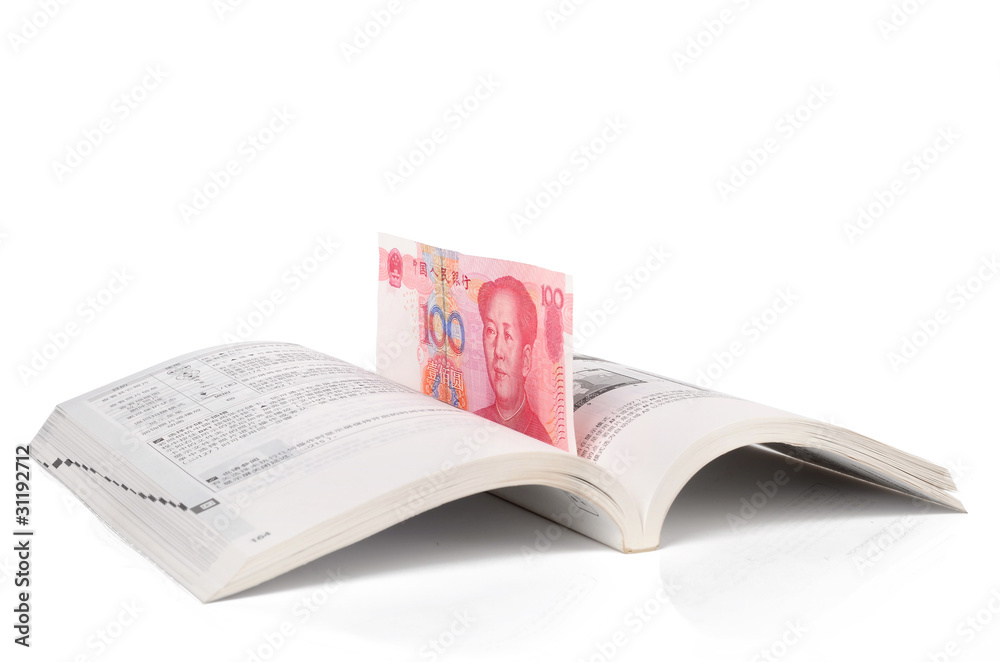 Fototapeta premium money in book