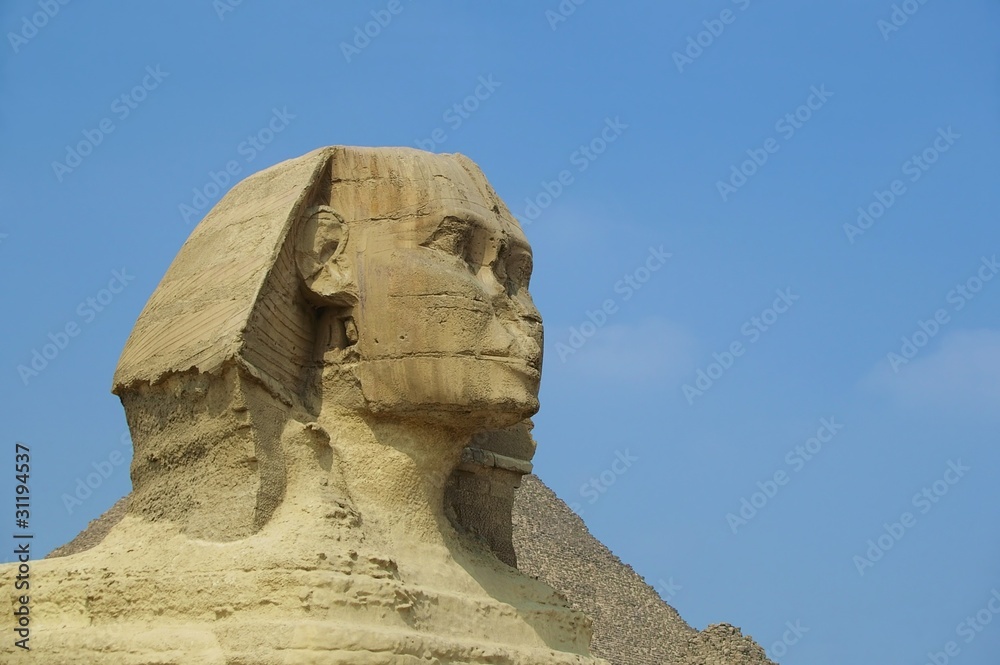 Fototapeta premium sphinx cairo egypt