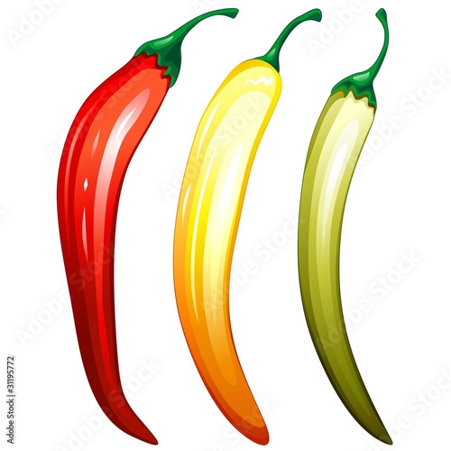Peperoncini Piccanti Tricolori-Hot Chili Pepper 3 Colors-Vector