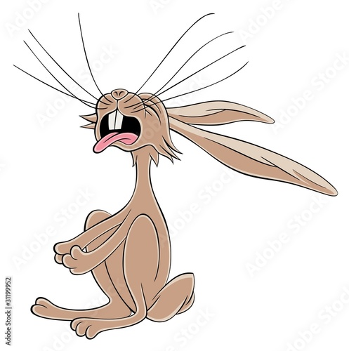 Crying lonely Hare