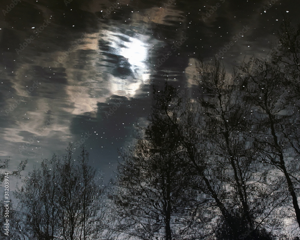 Fototapeta premium Reflets