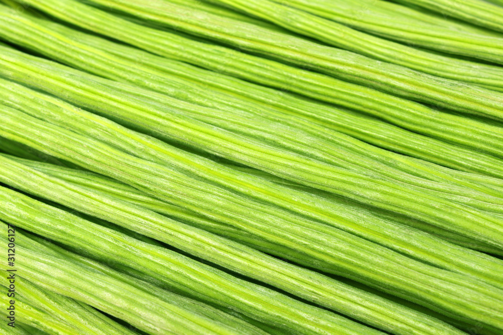 Close up of Moringa Oleifera or sonjna Close up of Moringa Oleifera or sonjna