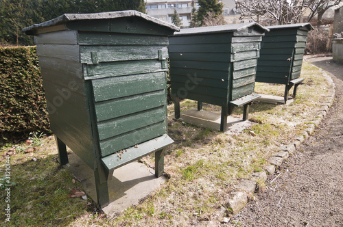 Green wooden beehives for flower impollination