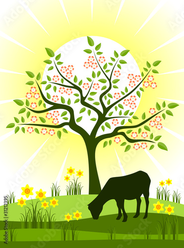 spring scene