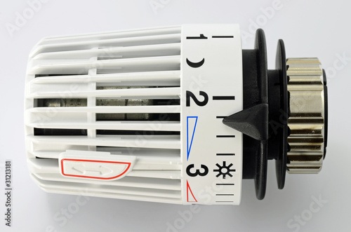 Slika na platnu Thermostat