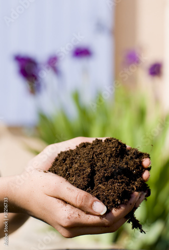 terreau pour plantations photo