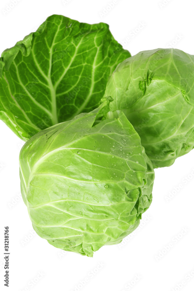 young cabbage, it is isolated on white young cabbage, it is isolated on white