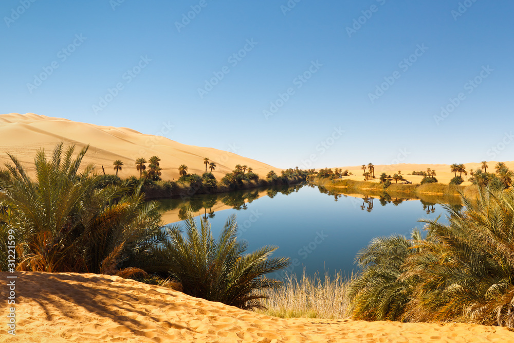 Umm al-Ma Lake - Desert Oasis, Sahara, Libya - obrazy, fototapety, plakaty 