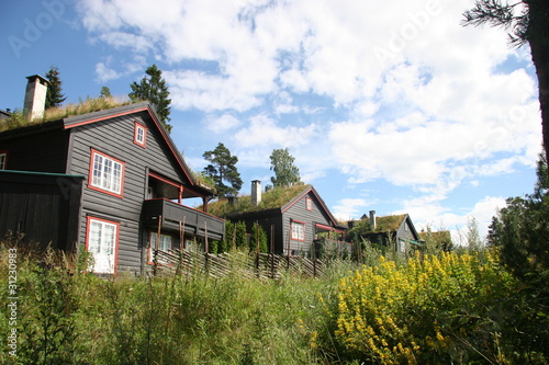 Maison Norvégienne avec toit végétalisé