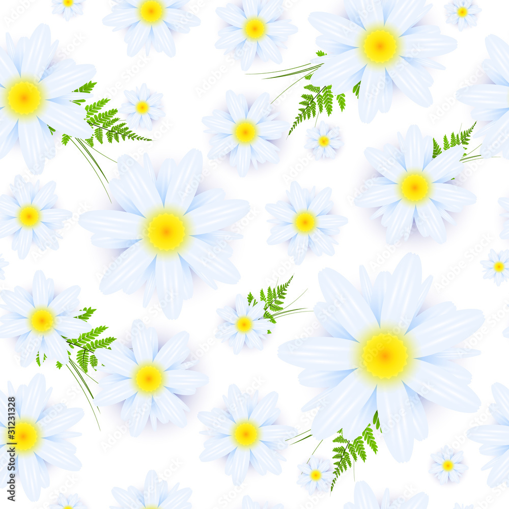 seamless daisies pattern seamless daisies pattern