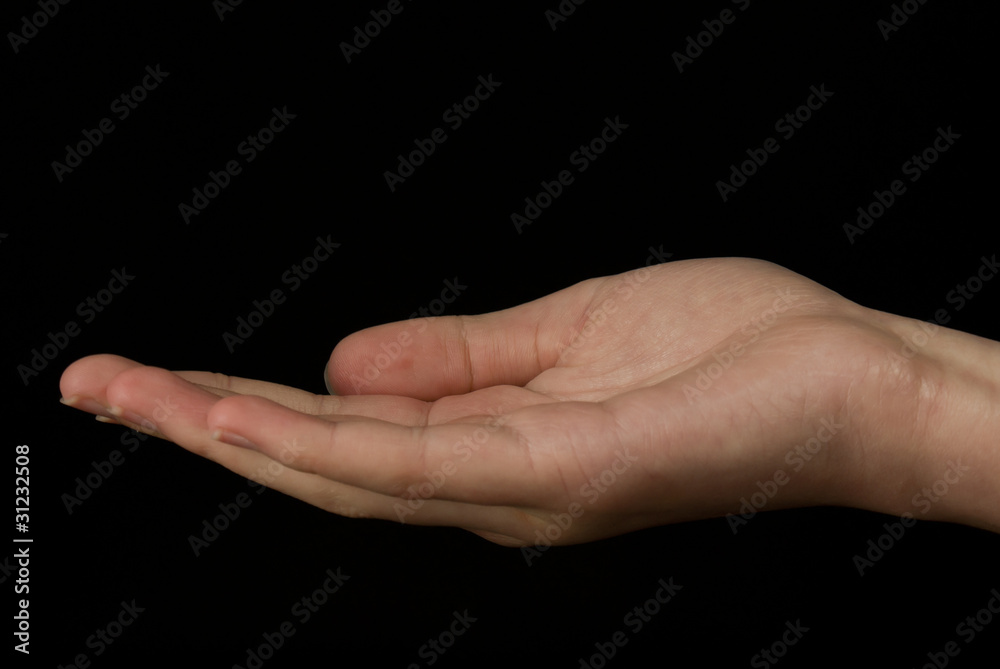 Open hand of woman Open hand of woman