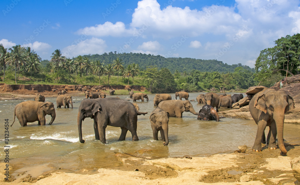 Sri Lanka