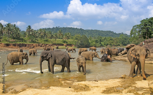 Sri Lanka