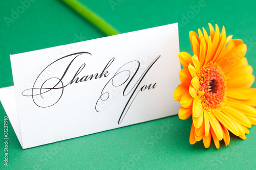 gerbera and card signed thank you on green background