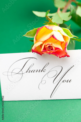 rose  and card signed thank you on green background