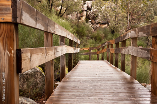 Wet Wood Passage