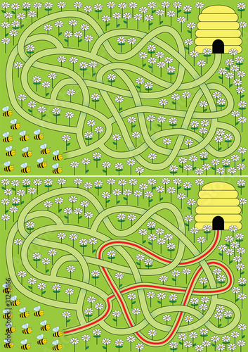 Bees maze