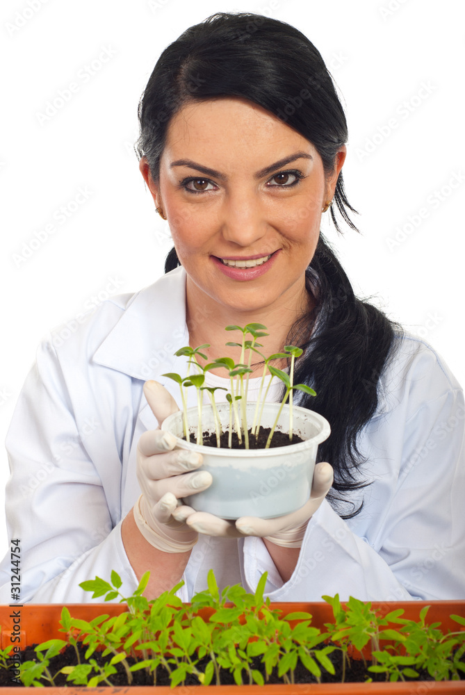 Happy scientist holding new cucumber plants Happy scientist holding new cucumber plants