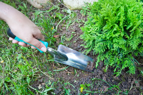 Women hand hold trowel and digging photo