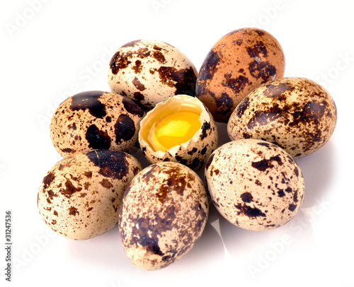 Photo quail eggs