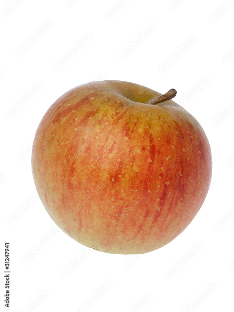 Pomme Rubinette Pomme Rubinette