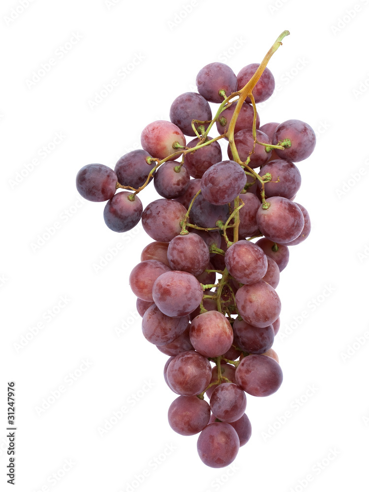 Raisin Red Globe Raisin Red Globe