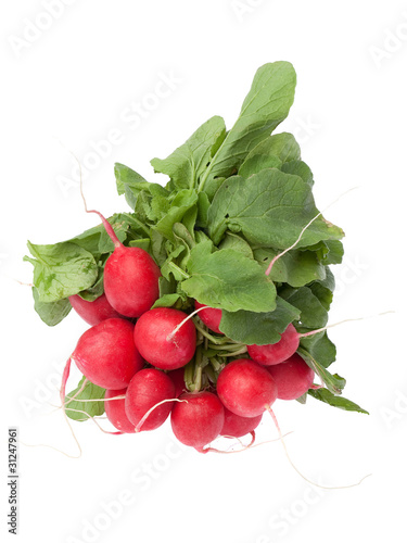 radis rouge
