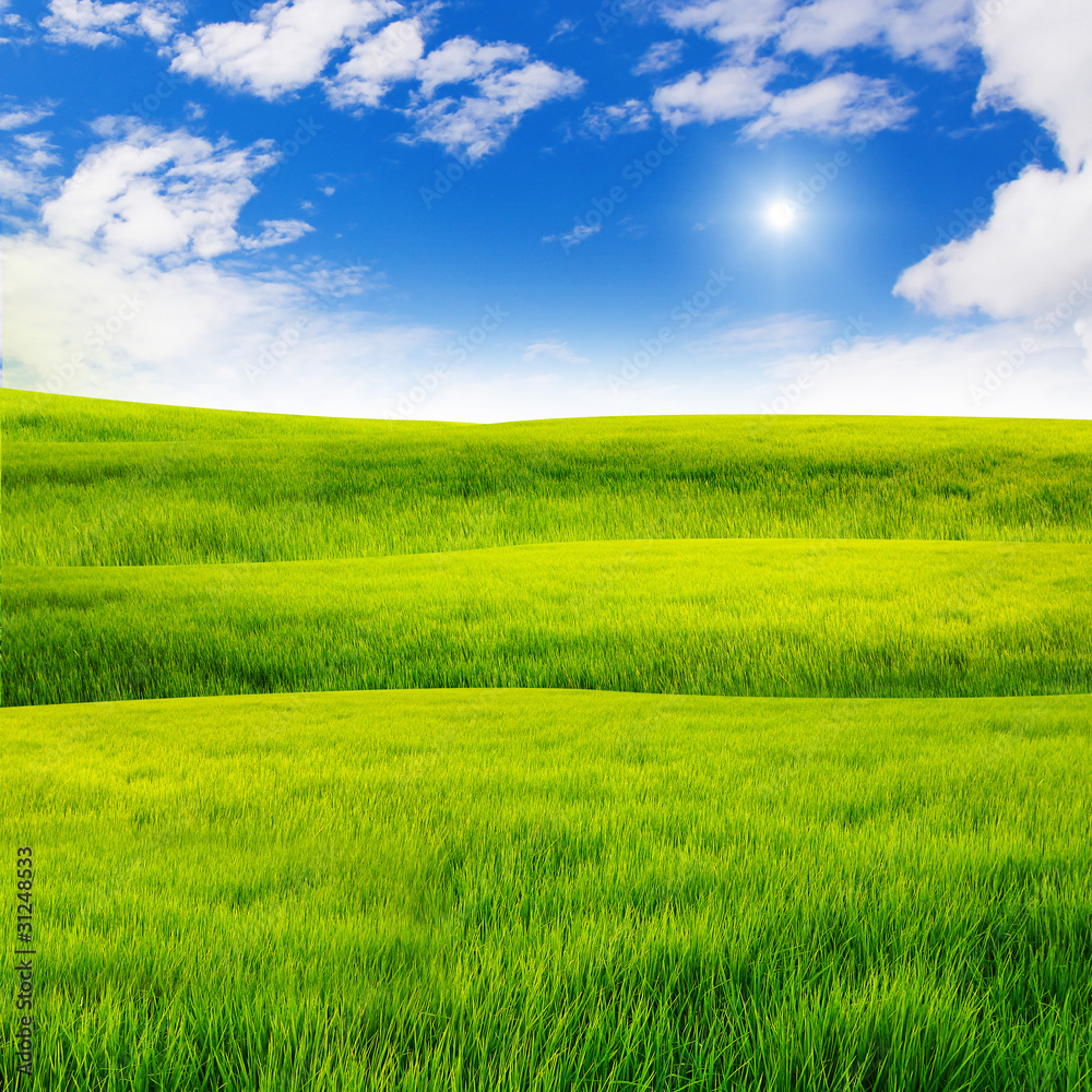 Grass field and nice sky Grass field and nice sky